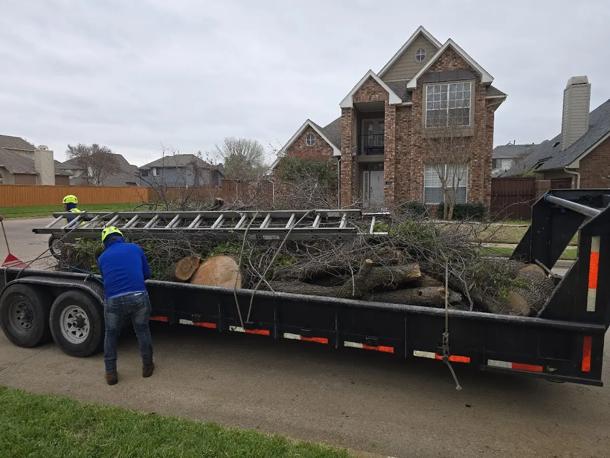 Expert Tree Removal with proper safety equipment in Indian Trail